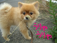 `@@EEEs]̂悤ł(^^;